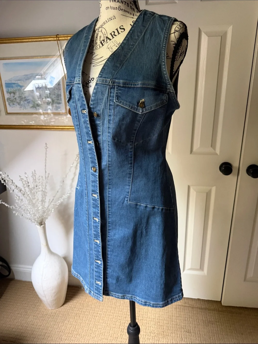 Free People Blue Denim Button-Front Mini Dress